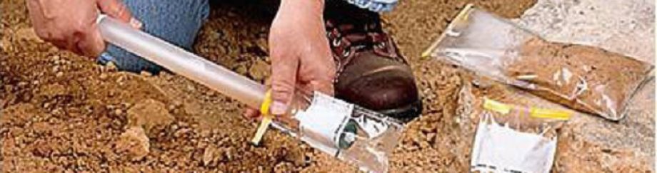 Effects of paper and plastic bags on the performance